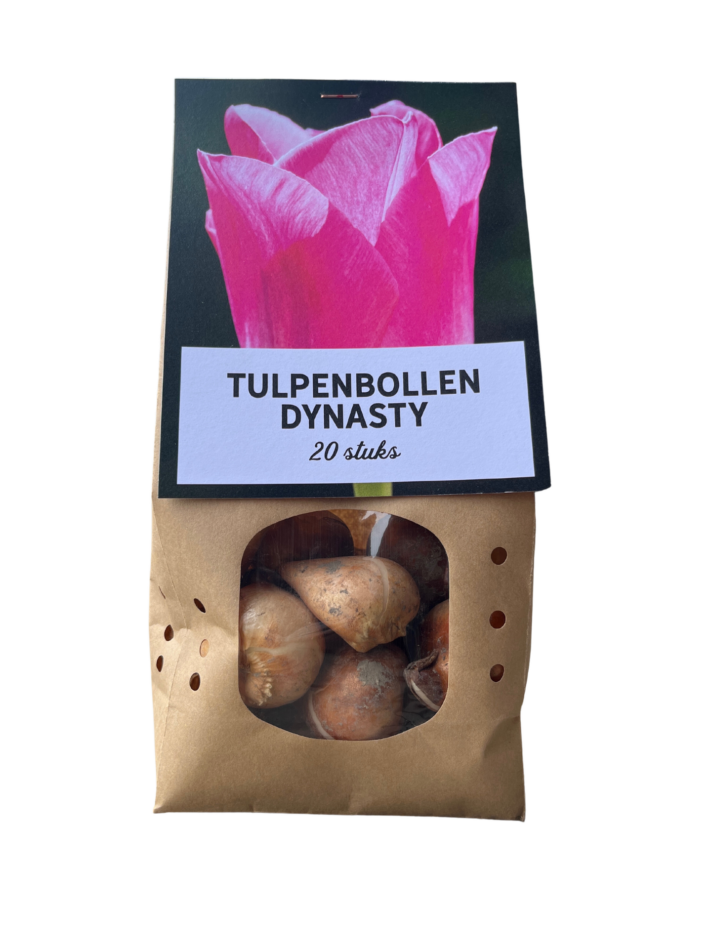 Tulpen-Zwiebeln - Dynasty – 20 Stück