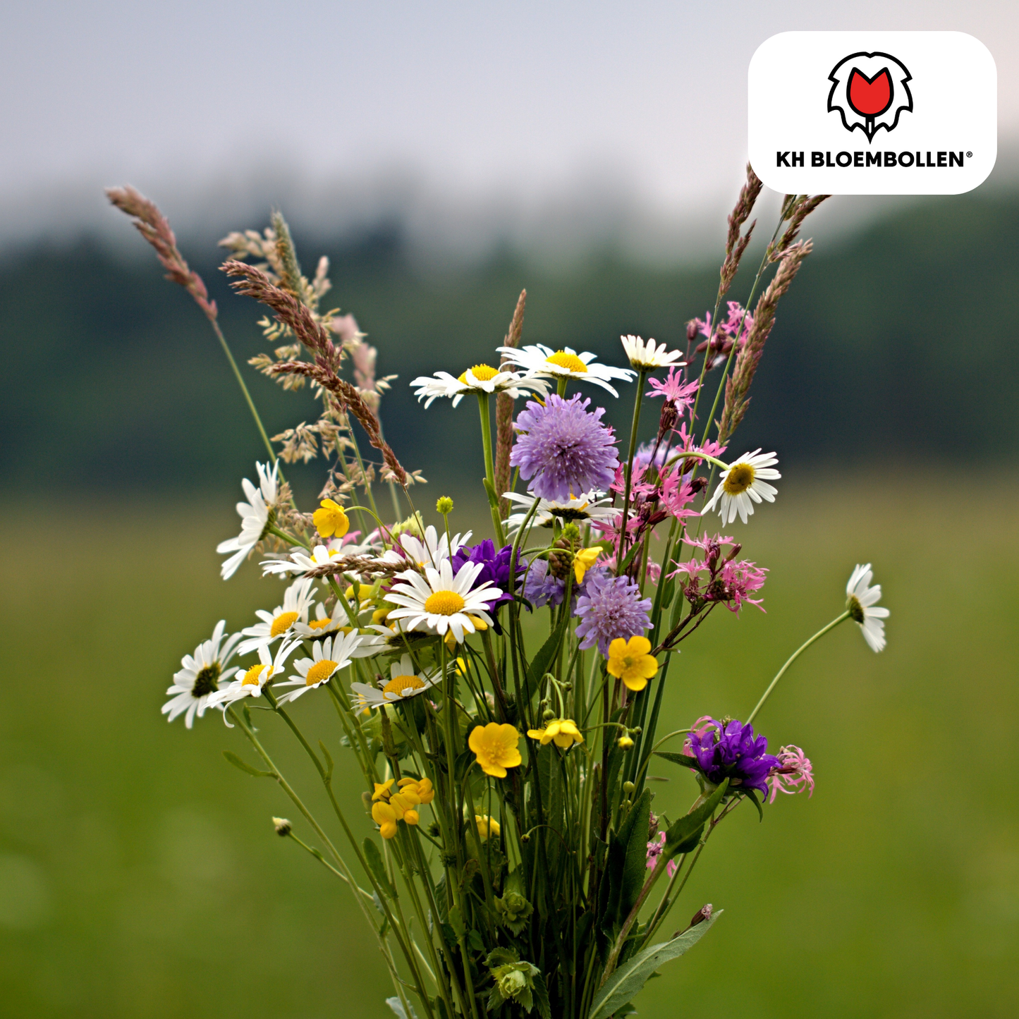 Wildblumenmischung 100g