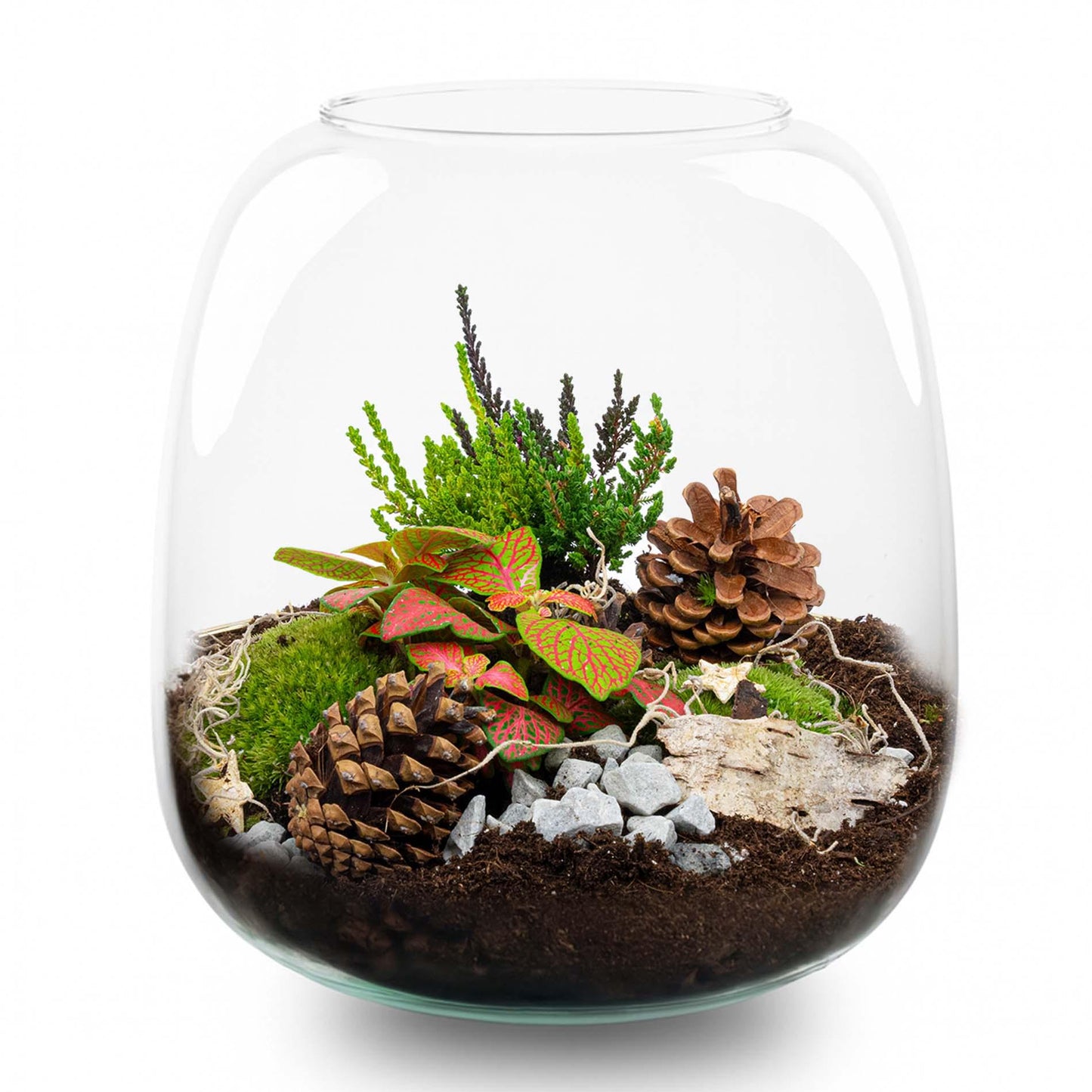 Weihnachts-Terrarium  - DIY kit Christmas - Ø 19 cm ↑ 20 cm