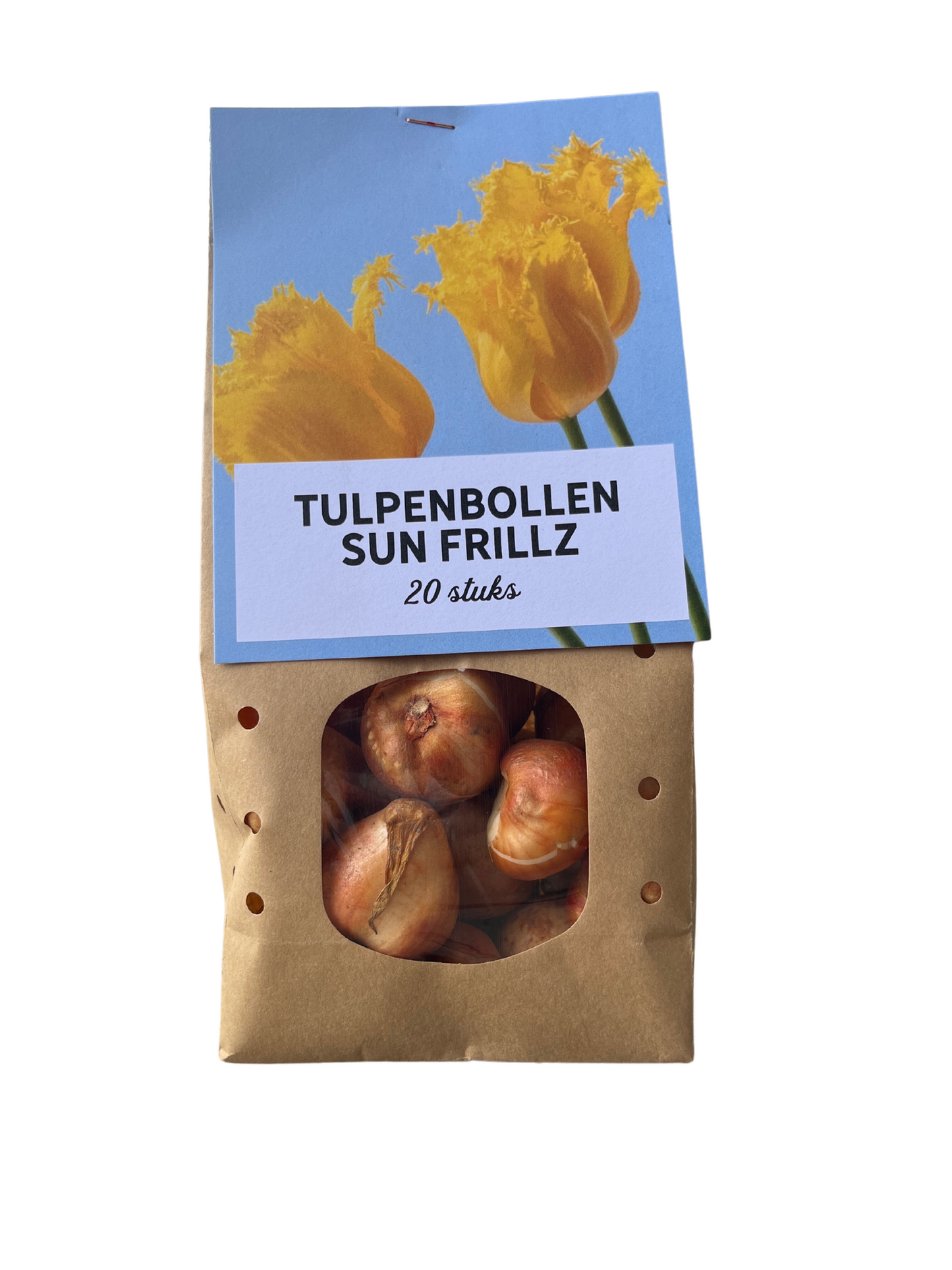 Tulpen-Zwiebeln - Sun Frillz – 20 Stück