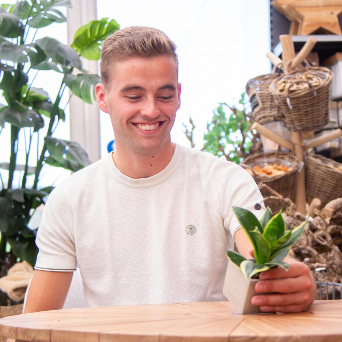 Geschenk Sansevieria | Viel Glück