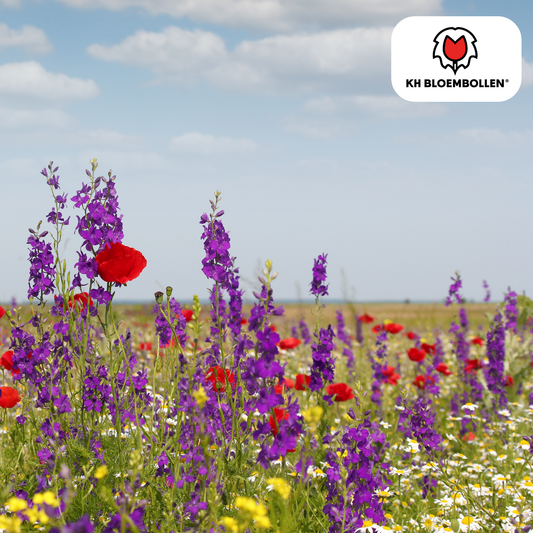 Wildblumenmischung 100g