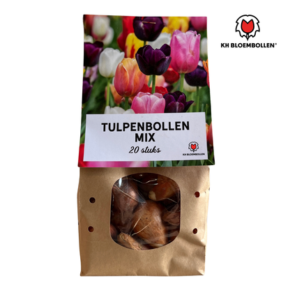 Tulpen-Zwiebel-Mix - 20 Stück