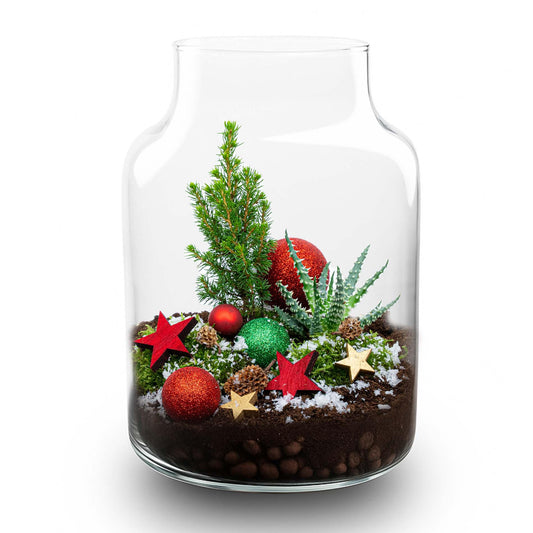 Weihnachts-Terrarium  DIY kit Christmas -  -  Ø 17 cm ↑ 25 cm