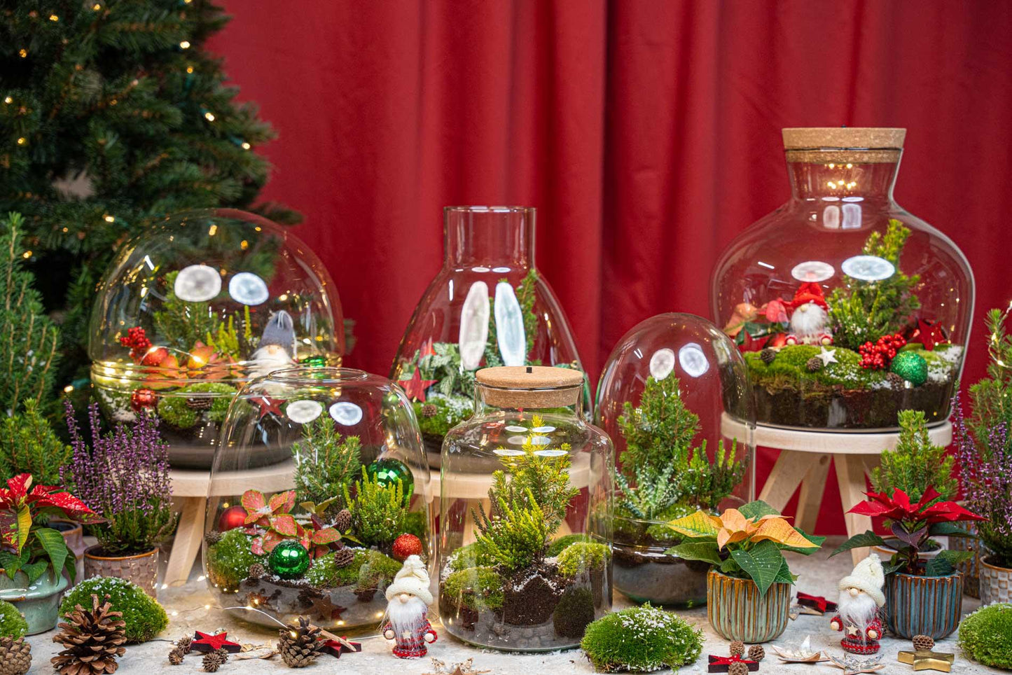 Weihnachts-Terrarium  DIY kit Christmas -  -  Ø 17 cm ↑ 25 cm