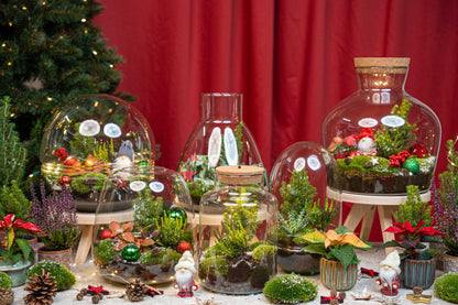 Weihnachts-Terrarium  DIY kit Christmas -  -  Ø 17 cm ↑ 25 cm
