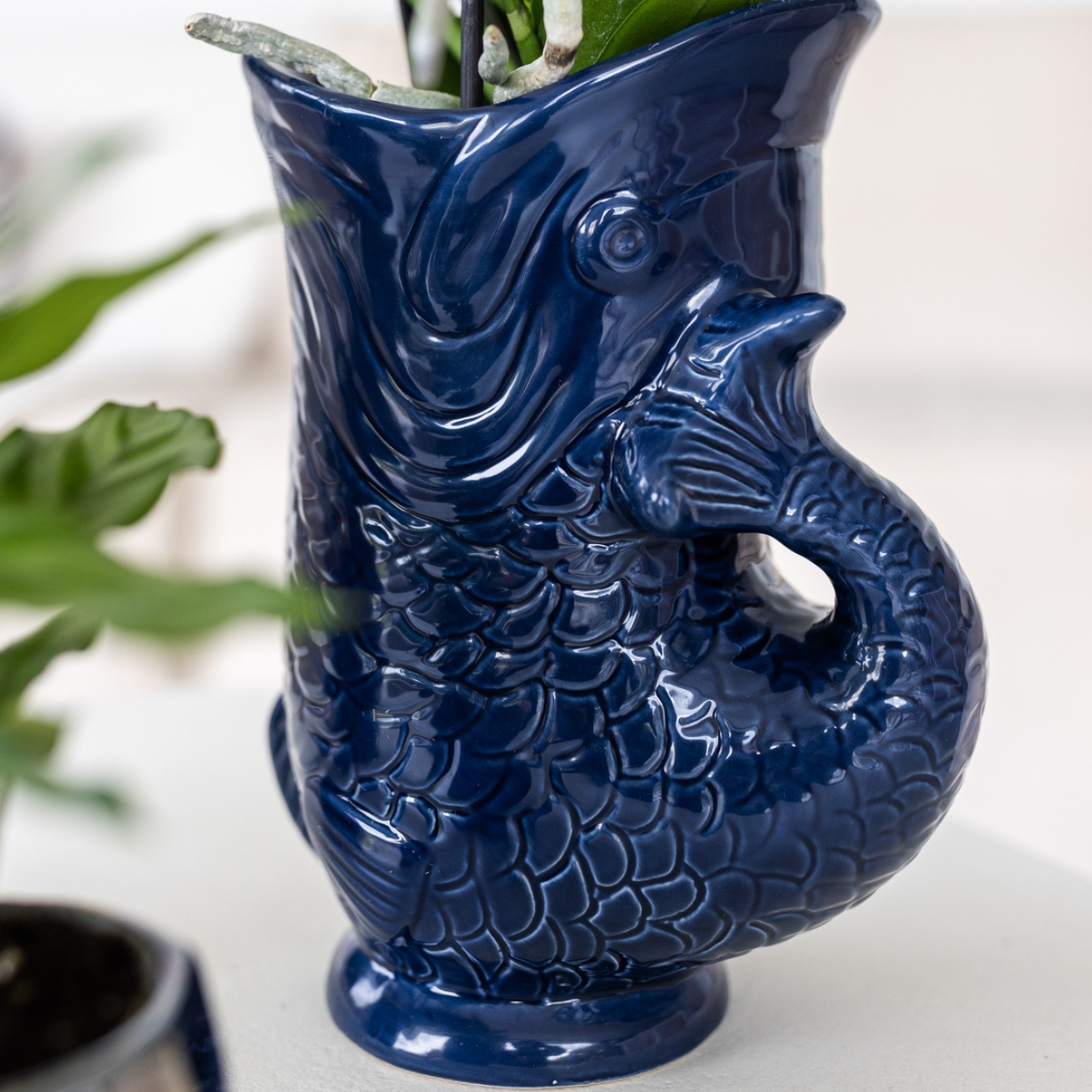 Set Orchidee Lima und Sukkulenten in keramischen Ziertöpfen – Topfgröße Ø9 cm & Ø6 cm