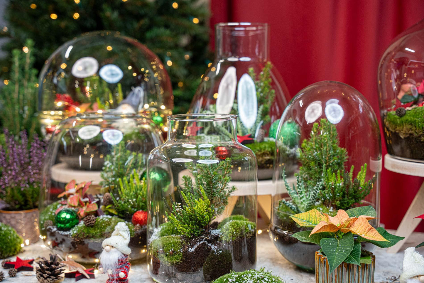 Weihnachts-Terrarium - Bottle garden DIY kit - Ø 29 cm ↑ 30