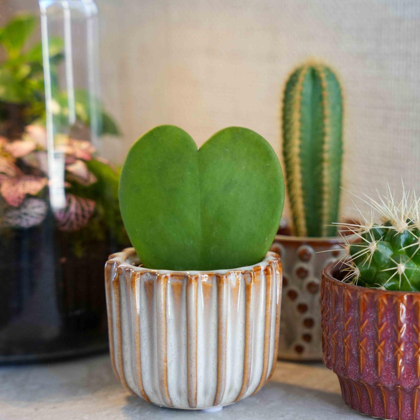 Love Set