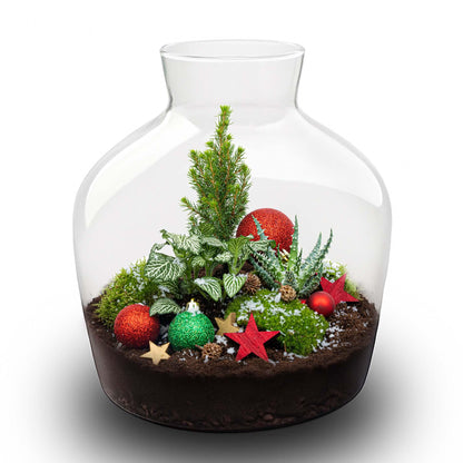 Weihnachts-Terrarium - Bottle garden DIY kit - Ø 29 cm ↑ 30