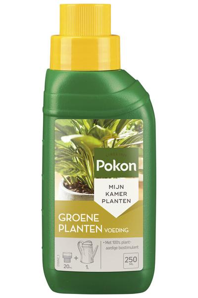 Grünpflanzennahrung 250 ML